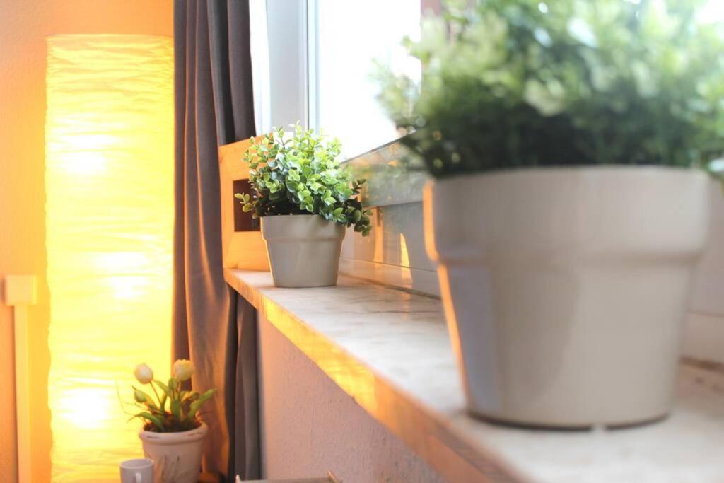 Apartment Bella Chemnitz Buitenkant foto